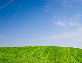 Image showing Green Field