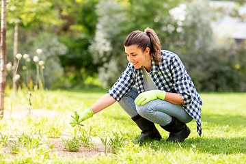 Image showing woman weeding flowerbed at summer garden