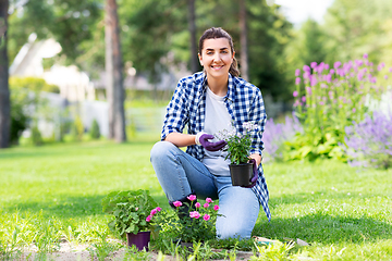 Image showing woman planting rose flowers at summer garden