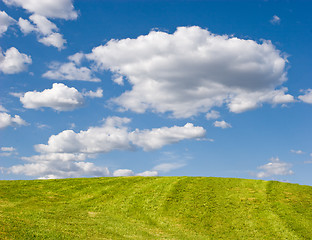 Image showing Green Field