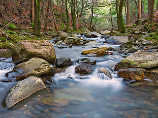 Image showing Flowing River