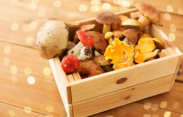 Image showing wooden box of different edible mushrooms