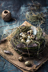 Image showing Nest with quail eggs for Easter and blooming branches on black background