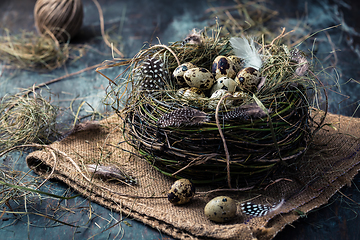 Image showing Nest with quail eggs for Easter and blooming branches on black background