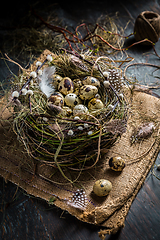 Image showing Nest with quail eggs for Easter and blooming branches on black background