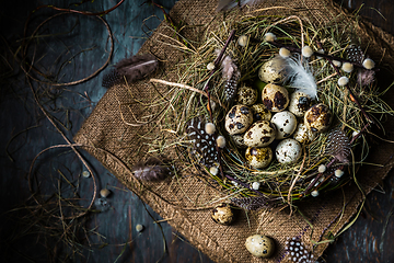 Image showing Nest with quail eggs for Easter and blooming branches on black b