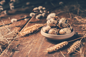 Image showing Quail eggs for Easter and blooming pussy willow branches on wooden background