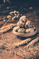 Image showing Quail eggs for Easter and blooming pussy willow branches on wooden background