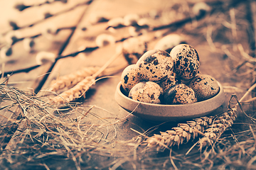 Image showing Quail eggs for Easter and blooming pussy willow branches on wooden background