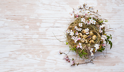 Image showing Nest with Easter eggs and blooming branches on white wooden background