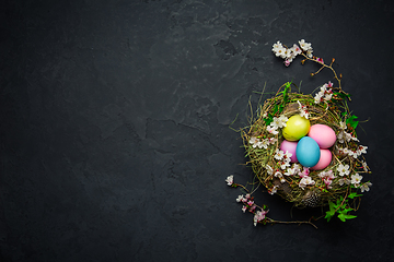 Image showing Nest with Easter eggs and blooming branches on black background