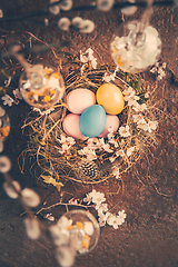 Image showing Nest with Easter eggs and blooming branches with pussy willow branches