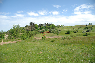 Image showing Cows and green landscape