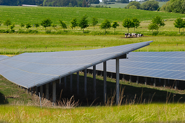 Image showing Rows of solar panels and green nature