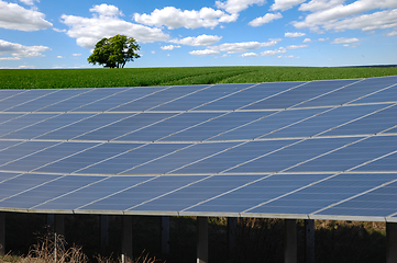 Image showing Rows of solar panels and green nature