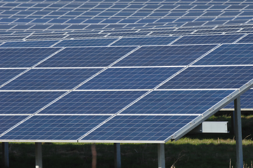 Image showing Rows of solar panels