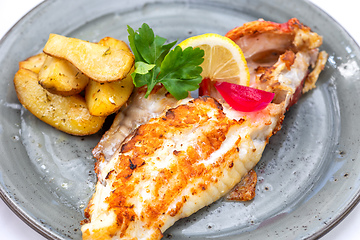 Image showing plate of grilled fish fillet