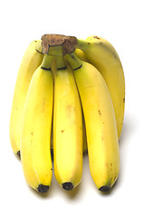 Image showing junior baby bananas