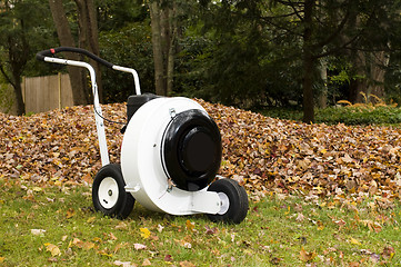 Image showing professional leaf blower