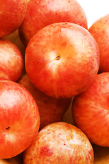 Image showing pluots fruit hybrid plum and apricot