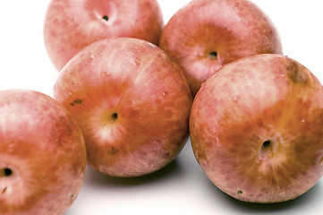 Image showing pluots fruit hybrid plum and apricot