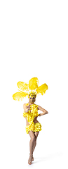 Image showing Beautiful young woman in carnival, stylish masquerade costume with feathers dancing on white studio background.