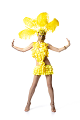 Image showing Beautiful young woman in carnival, stylish masquerade costume with feathers dancing on white studio background.