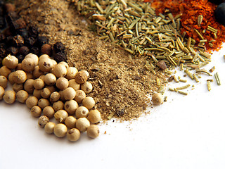 Image showing Spices