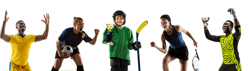 Image showing Portrait of young sportive people on white studio background, collage