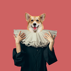 Image showing Model like medieval royalty person in vintage clothing headed by dog head. Concept of comparison of eras, artwork, renaissance, baroque style. Creative collage.