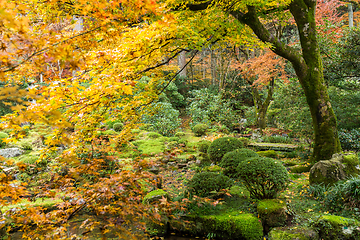 Image showing Beautiful Japanese temple in autumn season