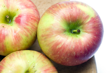 Image showing honeycrisp apples