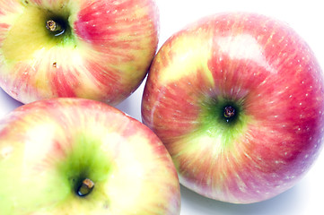 Image showing honeycrisp apples