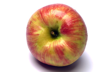 Image showing honeycrisp apples