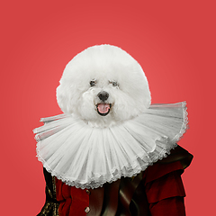 Image showing Model like medieval royalty person in vintage clothing headed by dog head. Concept of comparison of eras, artwork, renaissance, baroque style. Creative collage.