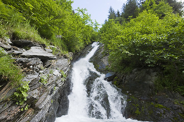 Image showing Fast waterfall