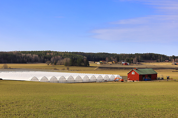 Image showing Agricultural Landscape with Greenhouses