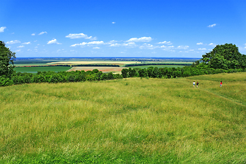 Image showing Picturesque summer landscape with grass lawn on foreground, thre