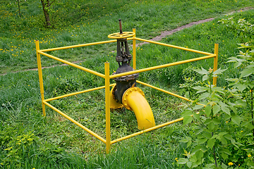 Image showing Gas valve outside among green grass