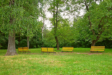 Image showing Four yellow wooden benches on a spacious lawn of a city park