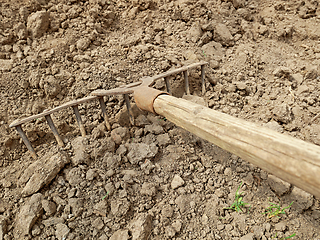 Image showing Old rusty metal rake with a wooden handle on the ground, close-u