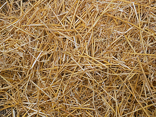 Image showing Wheat straw pile background