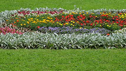 Image showing Big wide flowerbed with various flowers among green grass