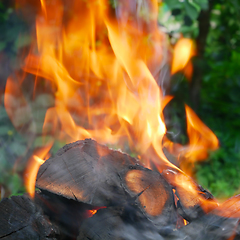 Image showing Red flame and ash over burning firewood outside