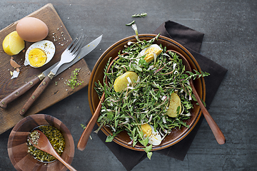 Image showing Dandelion salad