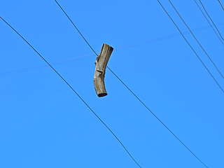 Image showing Dried wooden branch detail hanging on a wire on a sky background