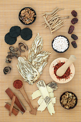 Image showing Traditional Holistic Chinese Herbal Medicine