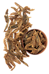 Image showing Stemona Root Chinese Herb Plant Medicine