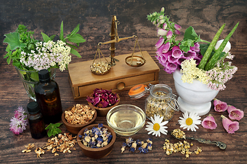 Image showing Flowers and Herbs for Aromatherapy Essential Oils