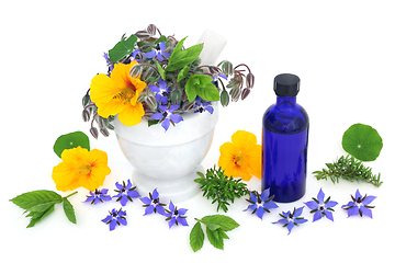 Image showing Naturopathic Herbal Plant Remedy for Colds and Flu